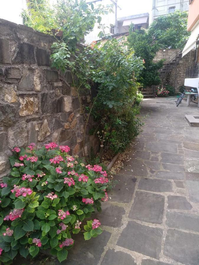 Muses Old Town Ioannina